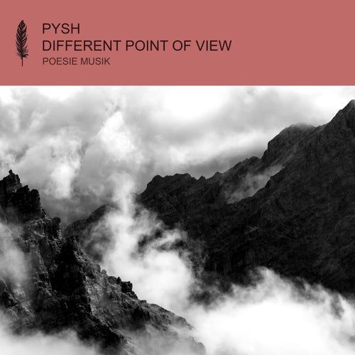 Pysh, LADS – Different Point of View [POM128]